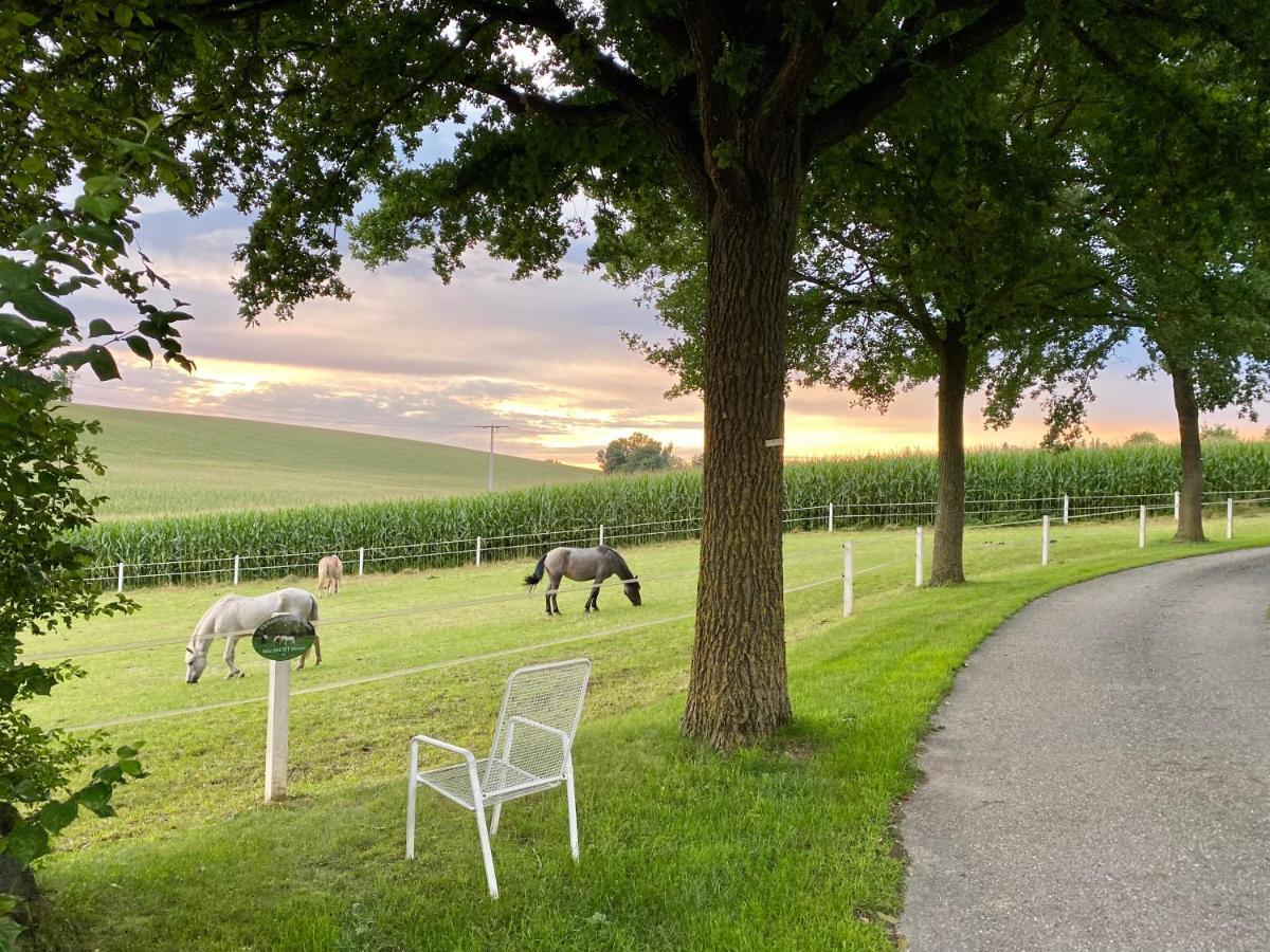 Gut Schwarz-N Hof Ferienwohnungen Bad Griesbach  Exteriör bild