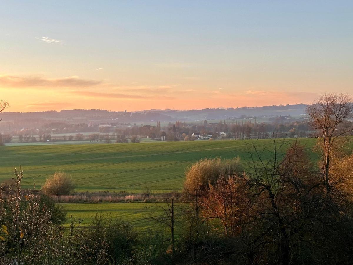 Gut Schwarz-N Hof Ferienwohnungen Bad Griesbach  Exteriör bild