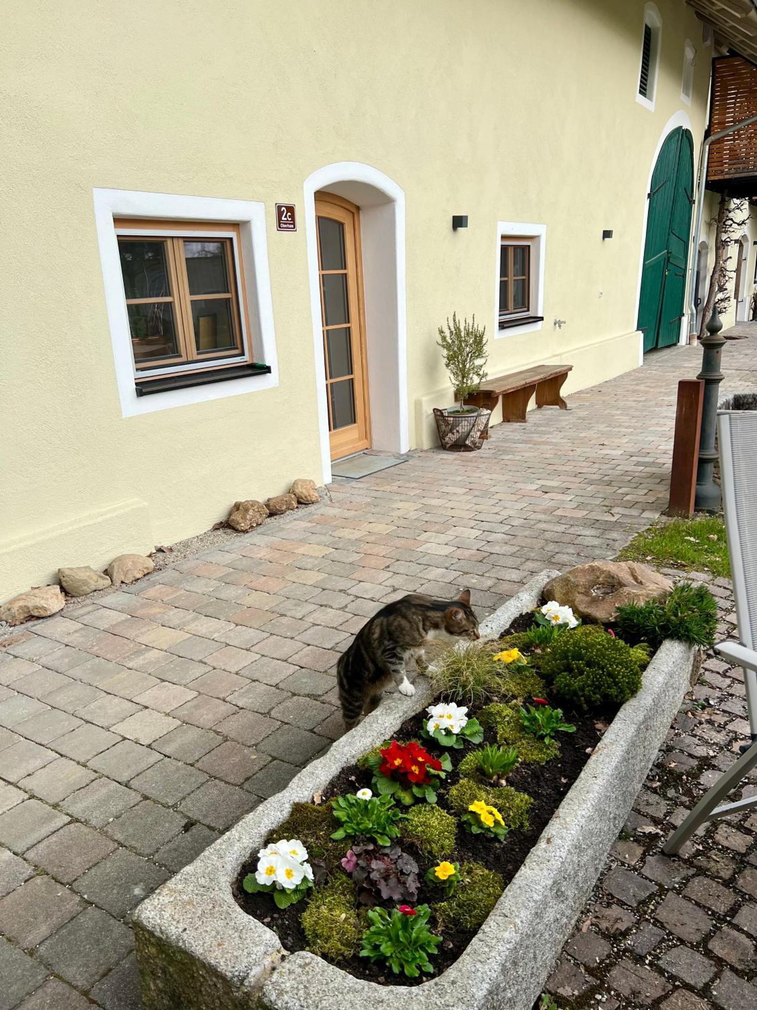 Gut Schwarz-N Hof Ferienwohnungen Bad Griesbach  Exteriör bild